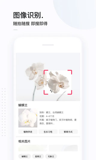 简单搜索app下载_简单搜索app旧版安卓最新版 运行截图1