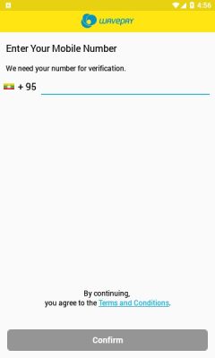 WavePay软件下载_WavePay下载安卓版v1.4.2.1 安卓版 运行截图3