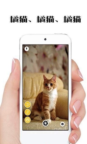 极简猫咪相机最新版安卓下载_极简猫咪相机纯净版下载v1.0.5 安卓版 运行截图1
