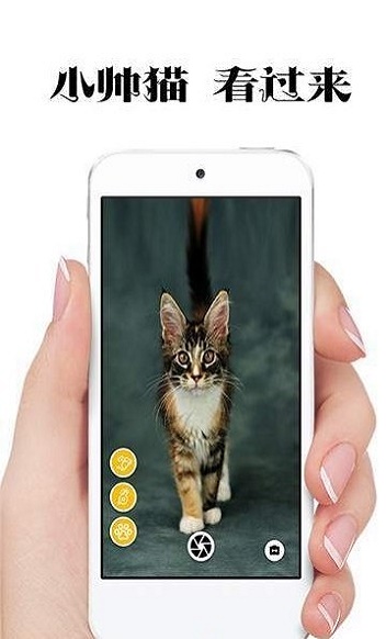 极简猫咪相机最新版安卓下载_极简猫咪相机纯净版下载v1.0.5 安卓版 运行截图2