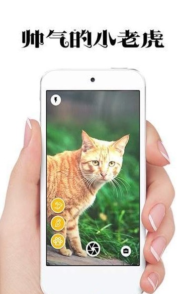 极简猫咪相机最新版安卓下载_极简猫咪相机纯净版下载v1.0.5 安卓版 运行截图3