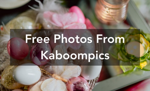 Kaboompics素材网下载_Kaboompics素材网高清图片免费最新版v1.0 运行截图3