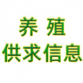 养殖供求信息软件下载_养殖供求信息手机版下载v1.0 安卓版