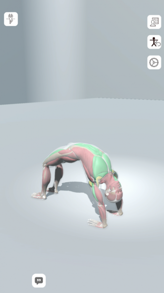 瑜伽解剖app下载_瑜伽解剖手机版下载v1.0 安卓版 运行截图3