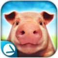猪的一生模拟器游戏下载_猪的一生模拟器最新手机版下载v1.1.1 安卓版