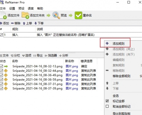 renamer软件下载_renamer软件绿色最新版v7.3 运行截图2