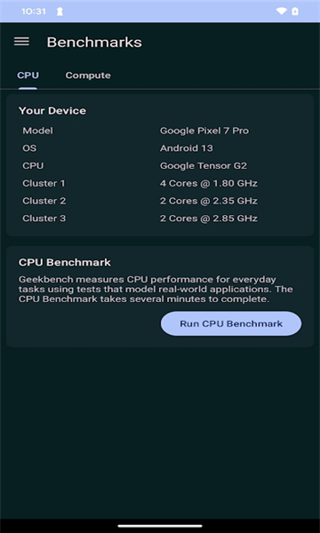 geekbench6安卓版免费下载_geekbench6升级版免费下载v6.0 安卓版 运行截图2