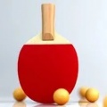 虚拟乒乓球最新版2022_虚拟乒乓球游戏中文版下载_虚拟乒乓球2022最新版下载