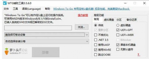 WTG辅助工具萝卜头绿色中文版下载安装_WTG辅助工具萝卜头版V5.5.6 运行截图1