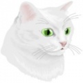猫和幽灵之路手机版下载-猫和幽灵之路汉化版下载