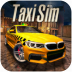 出租车模拟3D安卓版下载_出租车模拟3D安卓手机版下载v1.2.33 安卓版