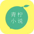 青柠免费小说下载_青柠免费小说app安卓下载v1.0.32最新版
