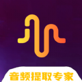 Ins音频提取手机版下载_Ins音频提取中文版下载v1.0.0 安卓版