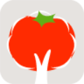 食物图书馆手机版下载_食物图书馆安卓版下载v1.1 安卓版