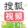 搜狐视频破解版免费VIP_搜狐视频无广告纯净版app下载安装