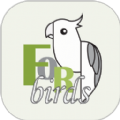 致鸟forbirds手机版下载_致鸟forbirds绿色无毒版下载v1.1.6 安卓版