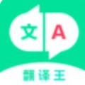 翻译王app安卓多功能版免费下载_翻译王app极速版官方下载V1.0
