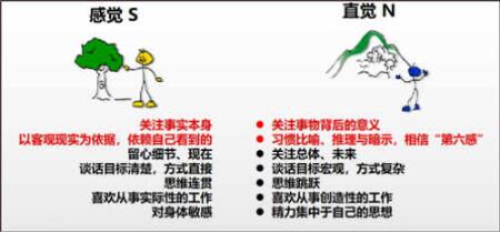 MBTI职业性格测试app完整版安卓下载_MBTI职业性格测试最新版官方下载V1.4.0 运行截图3