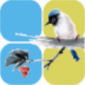小鸟记账app下载_小鸟记账2023最新版下载v1.79 安卓版