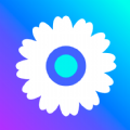 混沌小工菊app下载_混沌小工菊最新版下载v1.0.0 安卓版