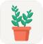 花草植物助手安卓手机版免费下载_花草植物助手官方2023最新版V1.0.3