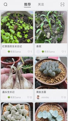 小植物免费下载_小小植物免费下载最新版 运行截图2