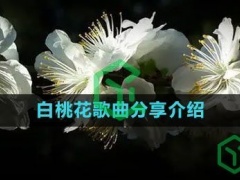 抖音如果我不去唱歌你不去考大学是什么歌-白桃花歌曲分享介绍)[多图]