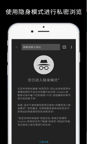 谷歌浏览器app2023最新官方下载_谷歌浏览器app安卓版免费下载V7.8.0 运行截图2