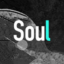 soul聊天软件下载_soul聊天软件下载最新版