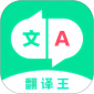 翻译王app下载_翻译王app安卓版手机软件下载最新版