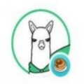 羊驼币alpaca最新版下载_alpaca币官网手机版下载