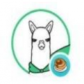 羊驼币alpaca