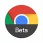 谷歌浏览器测试版app下载安装_谷歌浏览器beta最新版2023下载