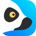 狐猴浏览器app下载安装2023_狐猴浏览器app官方正式最新版下载