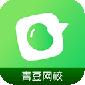 青豆网校app下载安装_青豆网校app官方最新版下载