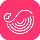 灰豚数据app官网下载_灰豚数据app最新手机版下载