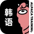 羊驼韩语app下载安装_羊驼韩语app手机客户端下载