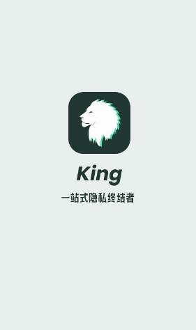 King隐私隐藏免费版手机下载_King隐私隐藏最新版下载安装v1.9.1 运行截图3