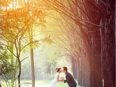 ps森林婚纱照如何调出绚丽的阳光色彩效果_带你走进森林婚纱的魔法世界