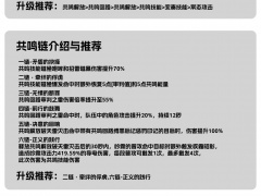 鸣潮吟霖声骸怎么选择及配队_吟霖声骸选择与配队培养一图流