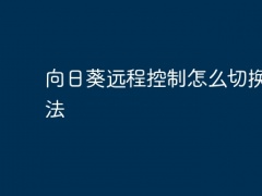 向日葵远程控制怎么切换输入法