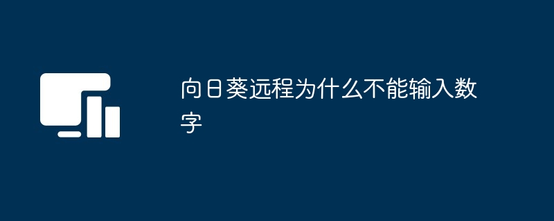 向日葵远程为什么不能输入数字[多图]