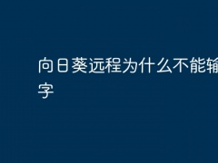 向日葵远程为什么不能输入数字