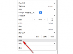 chrome浏览器网速慢怎么解决？谷歌浏览器网速慢的解决方法[多图]