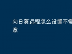 向日葵远程怎么设置不需要同意