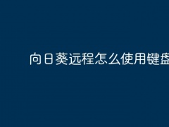 向日葵远程怎么使用键盘输入