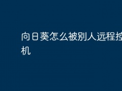 向日葵怎么被别人远程控制手机