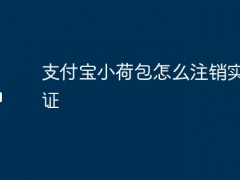 支付宝小荷包怎么注销实名认证