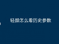 轻颜怎么看历史参数