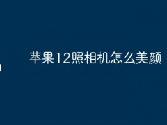 苹果12照相机怎么美颜